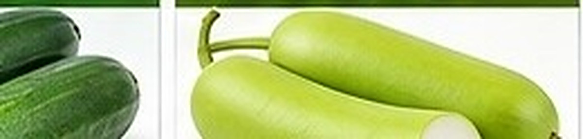 Cucumber & Gourds photo