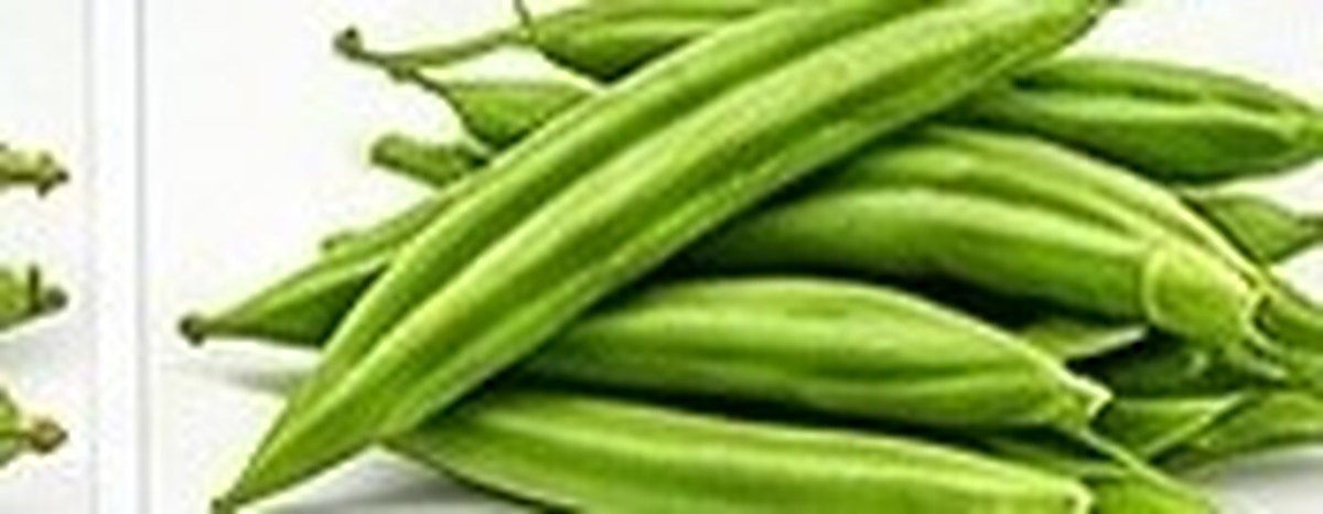Fresh green beans