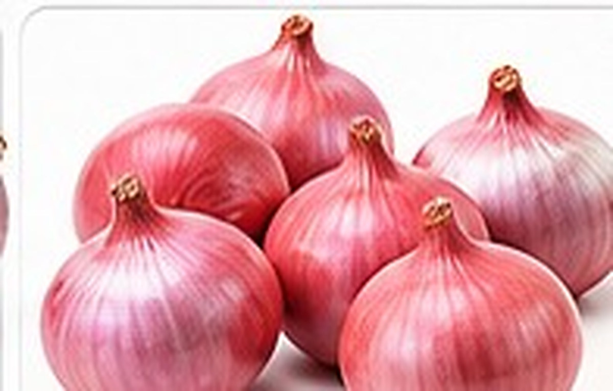 Pink or Light-Red Onion photo