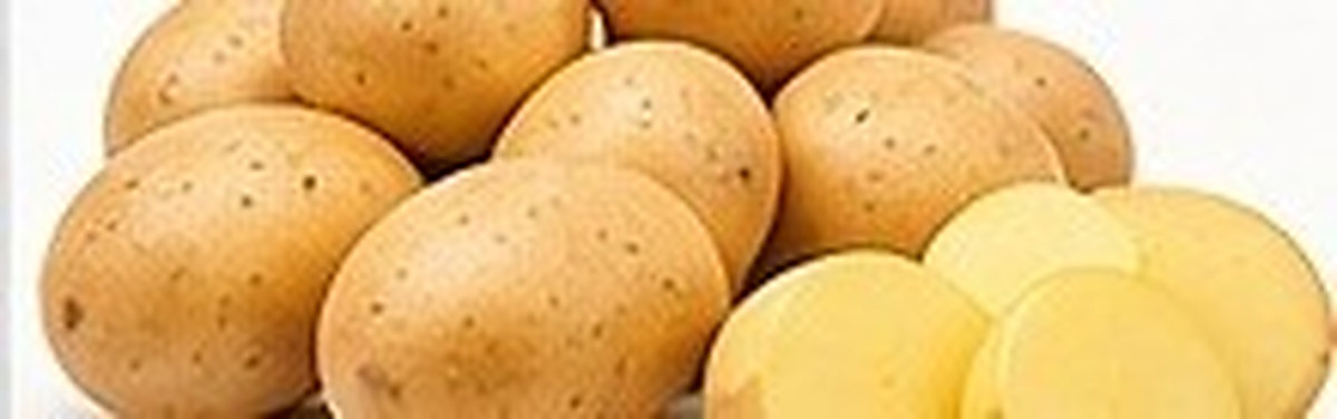 Potato photo