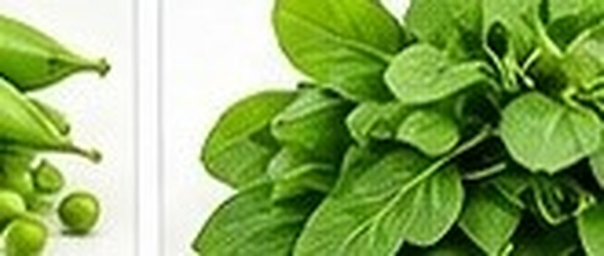 Leafy Vegetables photo
