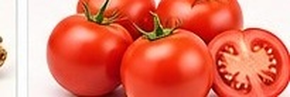 Fresh tomatoes